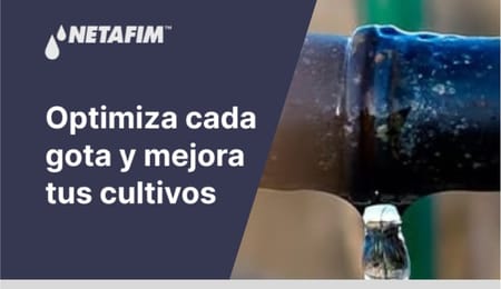 ¿Cómo implementar un sistema de riego tecnificado por goteo?