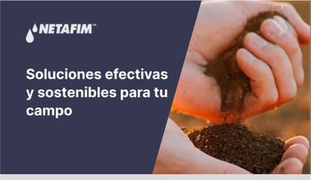 Consejos para mejorar la producción agrícola