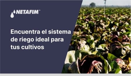 Tipos de sistema de riego más utilizados