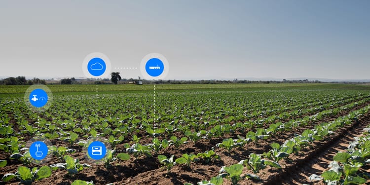 OPTIMIZA LA PRODUCTIVIDAD DE TUS CULTIVOS CON NETBEAT