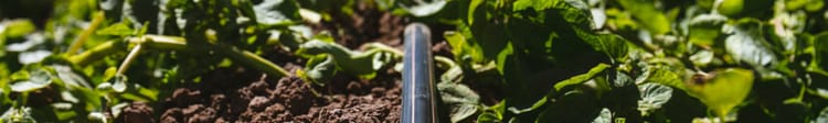 Banner ¿Cuáles son los beneficios del riego por goteo?