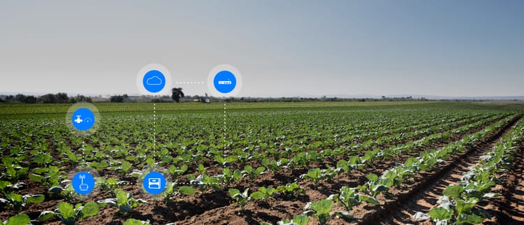 OPTIMIZA LA PRODUCTIVIDAD DE TUS CULTIVOS CON NETBEAT 