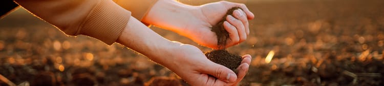 Banner Consejos para mejorar la producción agrícola