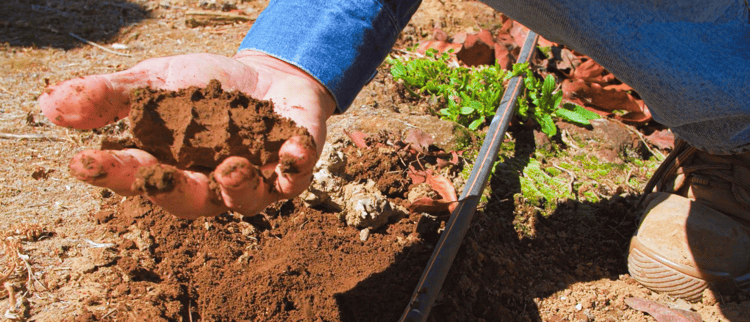 Banner Importancia de los sensores de humedad para diseñar una estrategia de riego exitosa