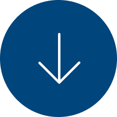 Download 2025 Catalog