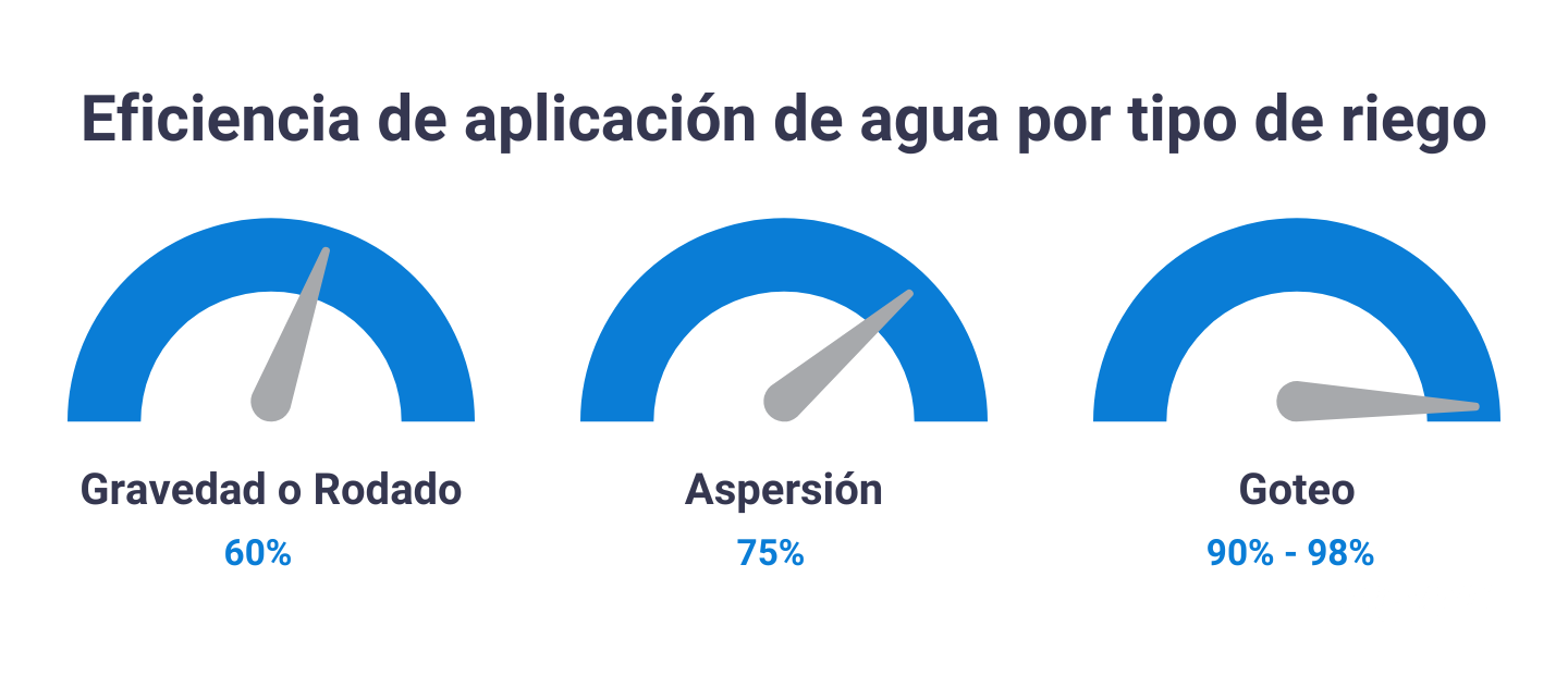 ¿Cómo elegir el tipo de riego?